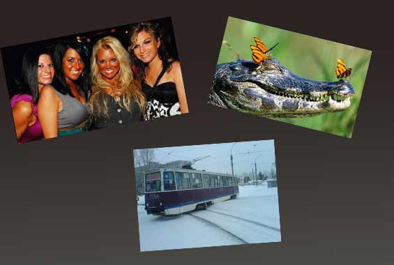 Günün en çok tıklanan fotoğrafları - Resim: 1