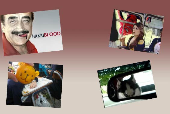 Bu fotoğraflar güldürüyor - Resim: 1