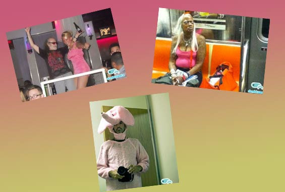 Twitter'da böyle poz paylaşılır mı hiç? - Resim: 1