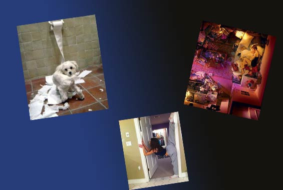 Günün tıklanma rekoru kıranları - Resim: 1