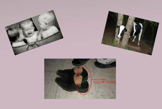 Günün en çok tıklananları - Resim: 1