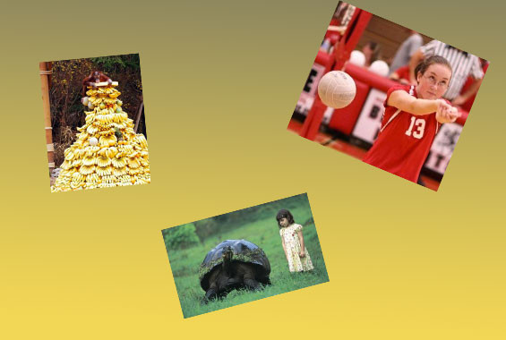 Günün en çok tıklananları - Resim: 1