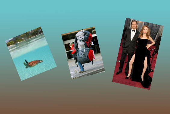 Günün tıklanma rekoru kıran kareleri - Resim: 1