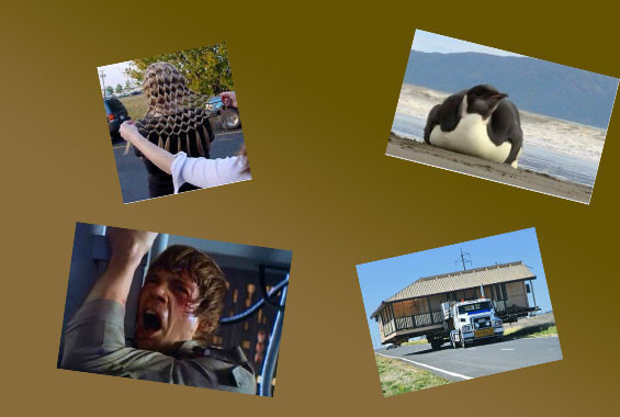 Günün en bomba kareleri - Resim: 1