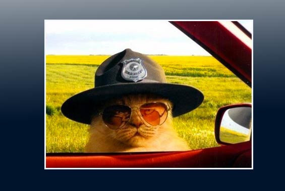 Sanal alemin en çok tıklananları - Resim: 1