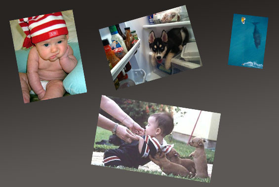 Günün en çok tıklananları - Resim: 1