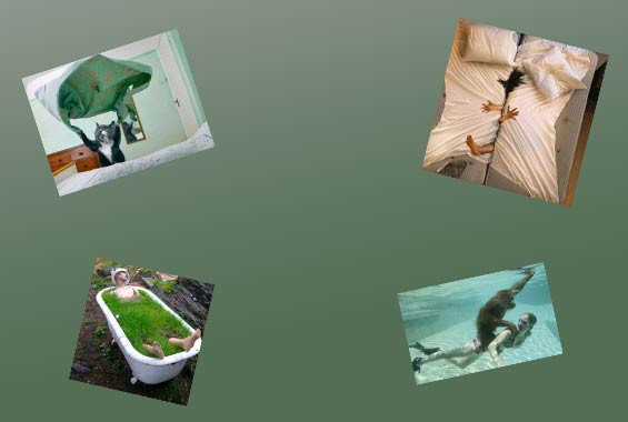 Bugün en çok bunlar tıklandı - Resim: 1