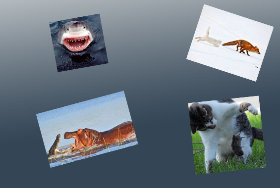 İşte doğanın en acımasız fotoğrafları - Resim: 1