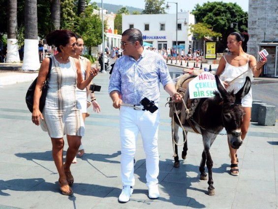Türkücü Aydın Aydın'a hayvanseverlerden büyük tepki bakın ne yaptı! - Resim: 3