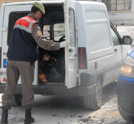 Aman Allah'ım! Bunları yiyecekmişiz - Resim: 4