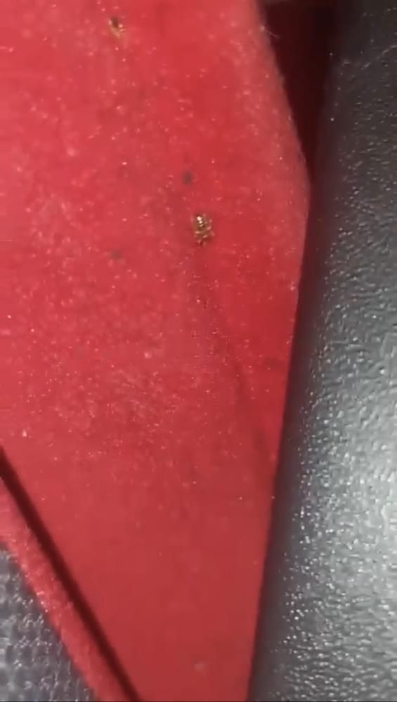 Mersin-İstanbul otobüsünde panik anları! 45 yolcu 13 saat ayakta yolculuk yaptı, nedeni ise... - Resim: 3