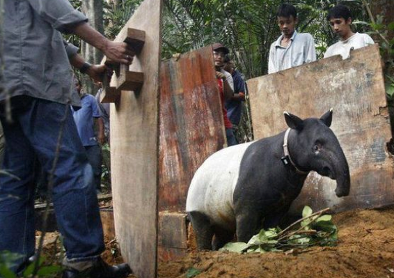 Bir oradan bir buradan bomba kareler - Resim: 4