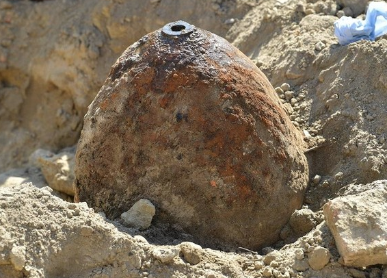 Önce patates sanıldı ardından imha edildi! İşin aslını duyanlar şoke oldu - Resim: 2