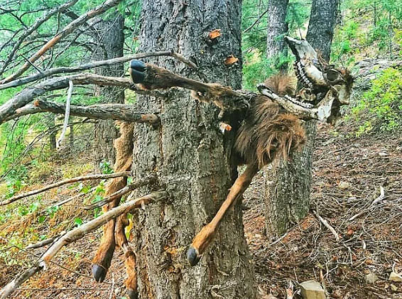 Böyle estetik operasyon görülmedi sonuç ise gerçekten inanılmaz - Resim: 3