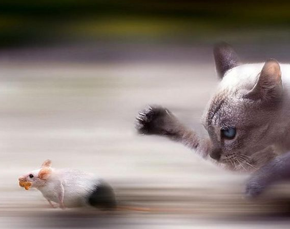 Tam o anda çekilen fotoğraflar - Resim: 1