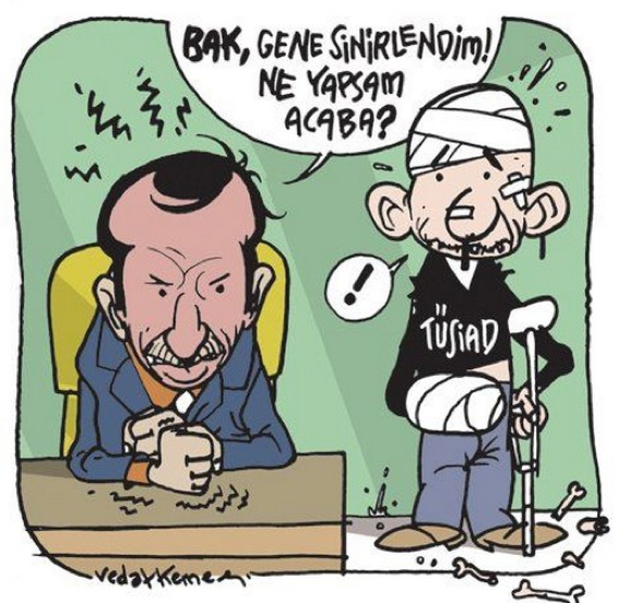 Bu karikatür Erdoğan'ı çıldırtır - Resim: 4