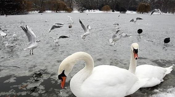Avrupa Sibirya'ya döndü! - Resim: 1