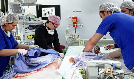 Kaplumbağa çocuk görenleri şok etti - Resim: 3