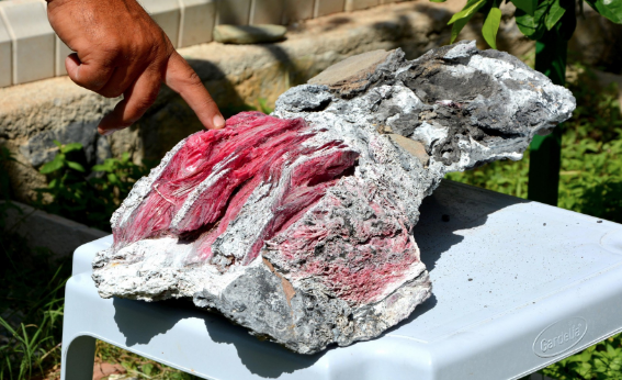 Muğla'da bir kişi denizde yüzerken fosil buldu - Resim: 3