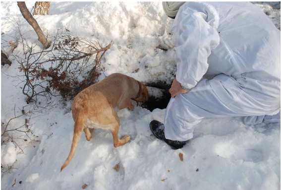 İşte o operasyonun görüntüleri! - Resim: 4