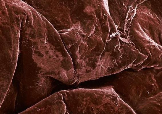 Hiç bu kadar yakından gördünüz mü? - Resim: 2