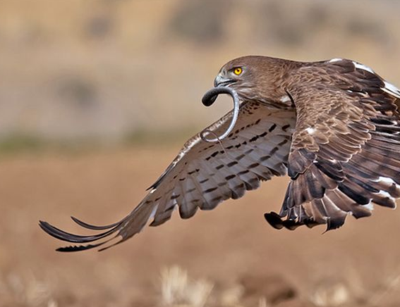 Tam o anda çekilen fotoğraflar - Resim: 3