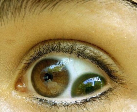 Bu fotoğraflar çok enterasan - Resim: 3