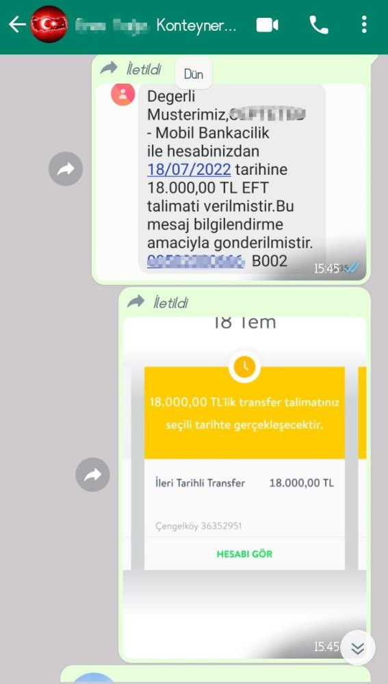 Ucuzluğa kanan ressam göz göre göre dolandırıldı - Resim: 1