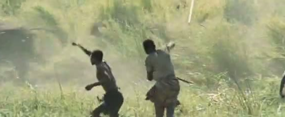 Afrika'da vahşi hayvan katliamı! - Resim: 3