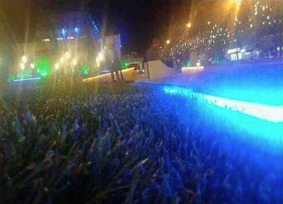 Bunun gibi daha önce hiç görülmedi hemen kameraya sarıldılar ama - Resim: 3