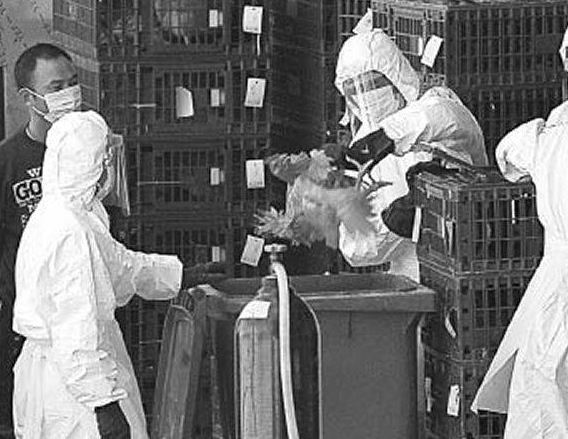 50 ile 100 milyon arası ölümle sonuçlanan İspanyol gribi nedir? Gribin 5 etkisi - Resim: 4