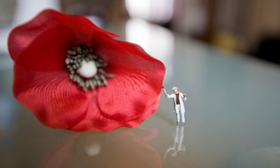 Daha iyi anlamak için yakından bakın! - Resim: 2