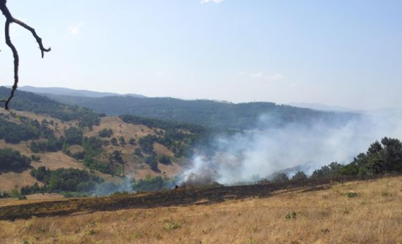 Dinamit yüklü kamyon patladı! - Resim: 3