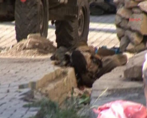 İşte ölen teröristin üzerinden çıkarılanlar! - Resim: 3