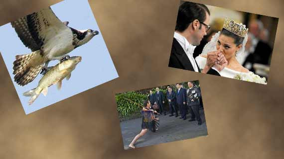 Bugün en çok bu kareler tıklandı - Resim: 1