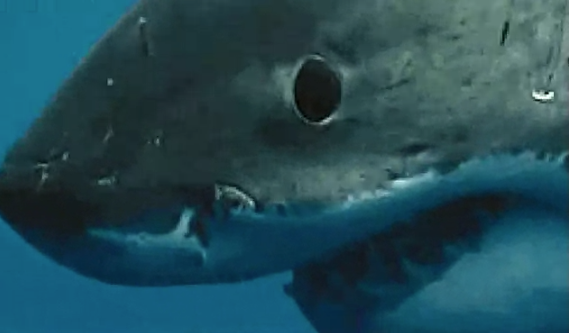 Karı koca birlikte havuza girdiler kameraları farketmediler şimdi ise ellerinde... - Resim: 2