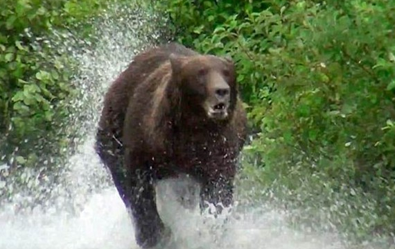 Ölümün pençesi böyle yaklaştı - Resim: 3