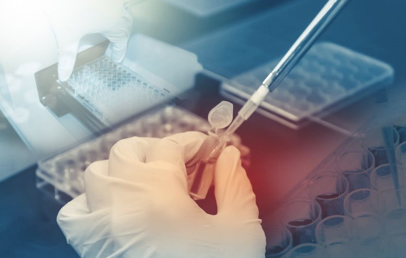 Google teknolojisi meme kanserinde yüzde 99 net sonuç veriyor! - Resim: 3