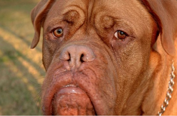 Tam o anda çekilen fotoğraflar - Resim: 3