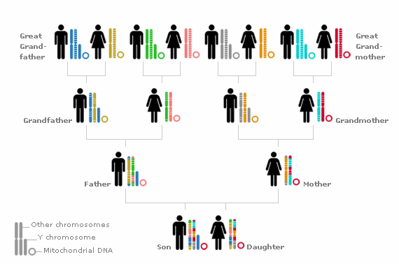 DNA araştırmasına göre 'kardeş' ülkeler hangileri - Resim: 1