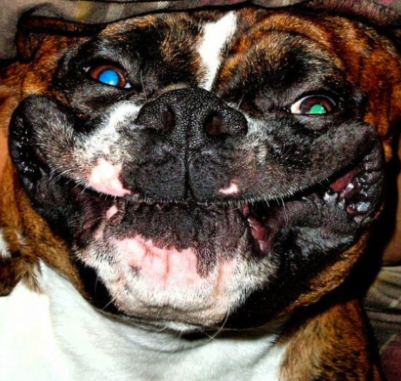 Tam o anda çekilen fotoğraflar - Resim: 4