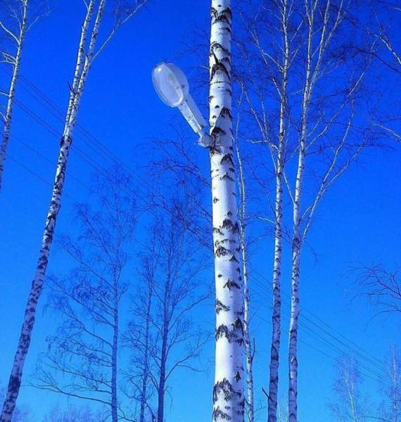 İnsanların şaşkına çeviren 'marifetleri' - Resim: 4