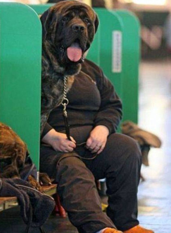 Hayvanlar insan gibi davranırsa - Resim: 2