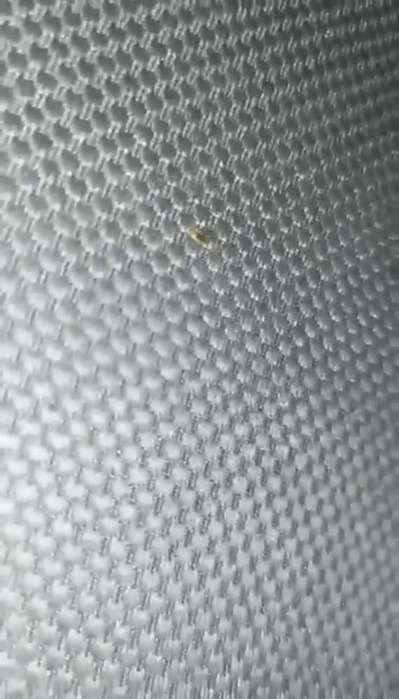 Mersin-İstanbul otobüsünde panik anları! 45 yolcu 13 saat ayakta yolculuk yaptı, nedeni ise... - Resim: 4