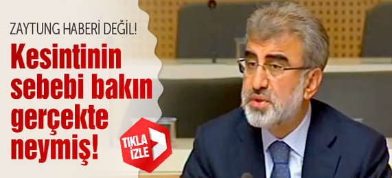 Elektiriği kesen 'Kedi lobisi' Twitter'ı yıktı - Resim: 1