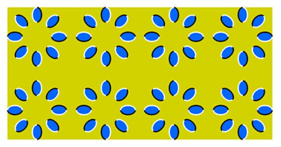 Deli eden fotoğraflar! - Resim: 3