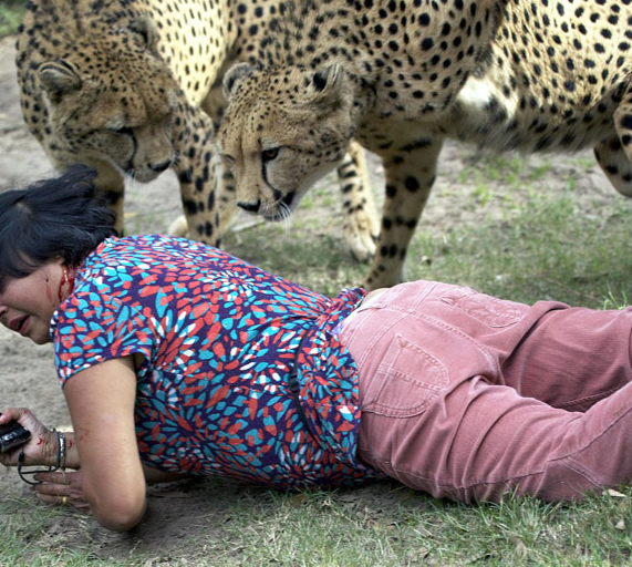 Çita dehşeti böyle görüntülendi! - Resim: 3