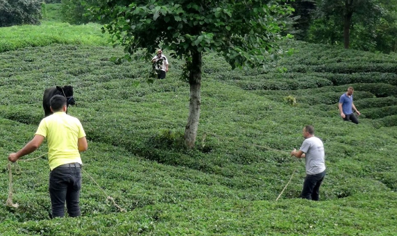 Onlar kaçtı sahipleri kovaladı! Panik korku ne ararsan var - Resim: 4
