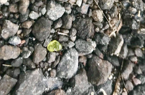 Olay görüntü! Gökyüzünden mücevher yağdı - Resim: 4