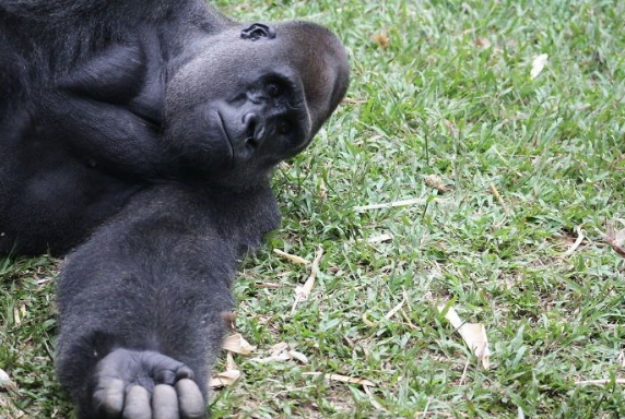 Böyle dostluk görülmedi! Dünya onlara hayran - Resim: 3